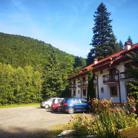 Floarea Reginei Otel Statiunea Climaterica Sambata Dış mekan fotoğraf