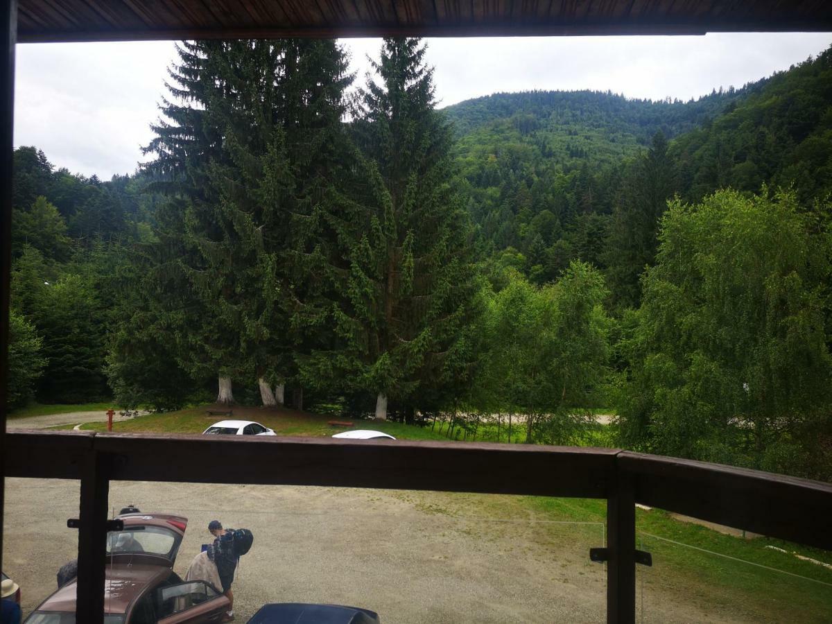 Floarea Reginei Otel Statiunea Climaterica Sambata Dış mekan fotoğraf