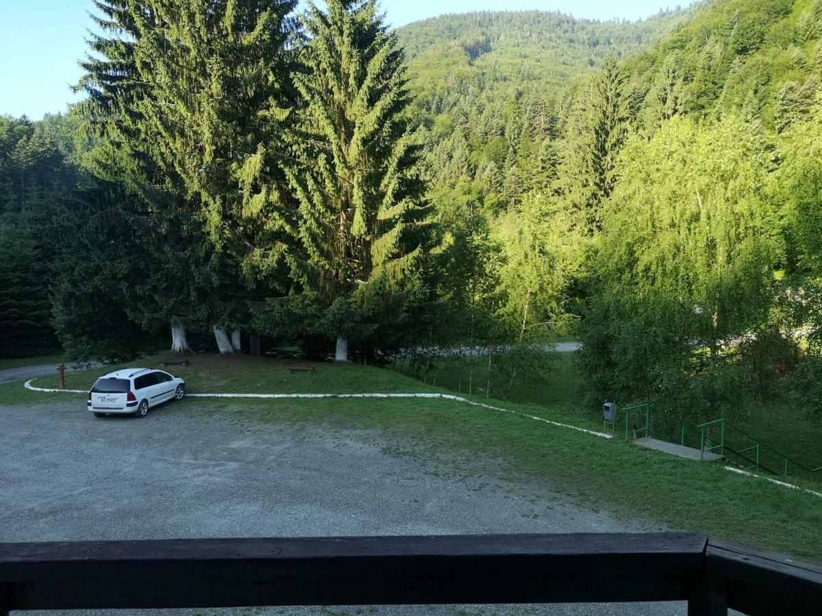 Floarea Reginei Otel Statiunea Climaterica Sambata Dış mekan fotoğraf