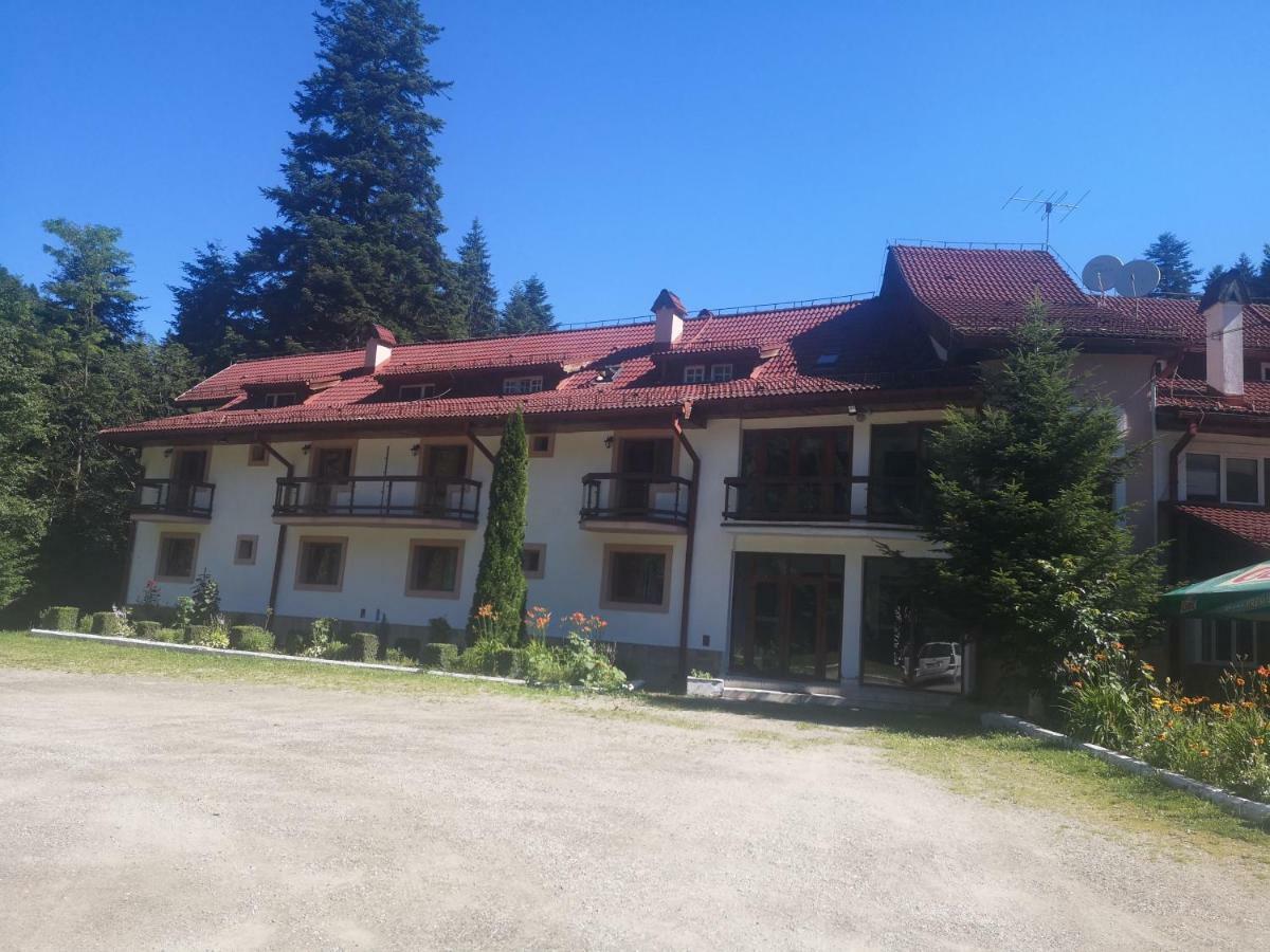 Floarea Reginei Otel Statiunea Climaterica Sambata Dış mekan fotoğraf