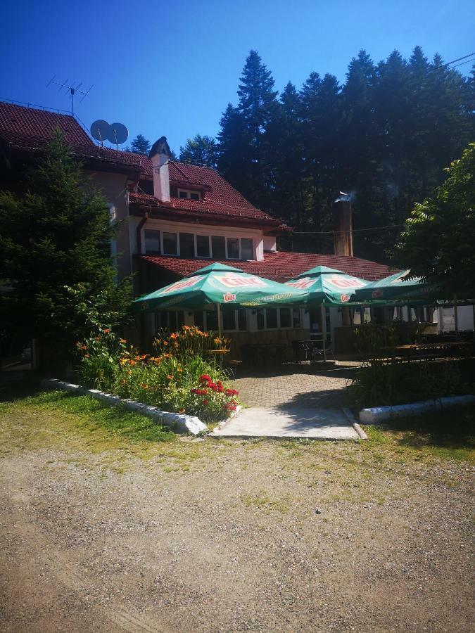 Floarea Reginei Otel Statiunea Climaterica Sambata Dış mekan fotoğraf