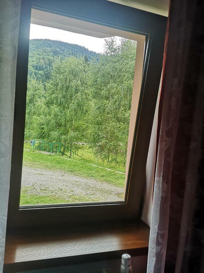 Floarea Reginei Otel Statiunea Climaterica Sambata Dış mekan fotoğraf