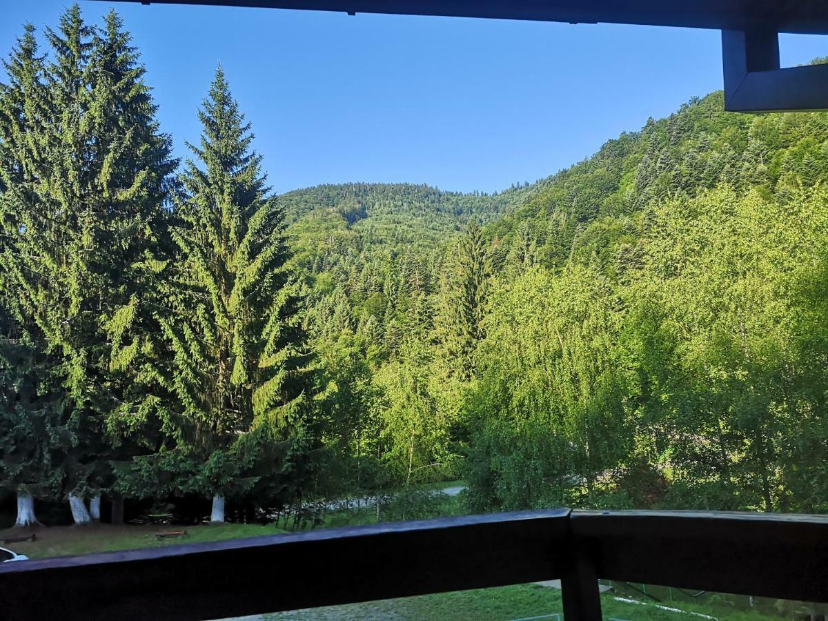 Floarea Reginei Otel Statiunea Climaterica Sambata Dış mekan fotoğraf