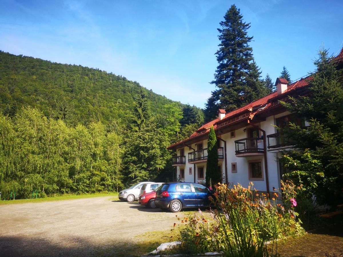 Floarea Reginei Otel Statiunea Climaterica Sambata Dış mekan fotoğraf